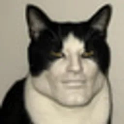 GIGACAT