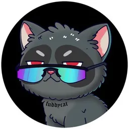 fuddycat token logo