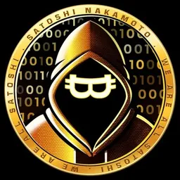 Satoshi Nakamoto token logo