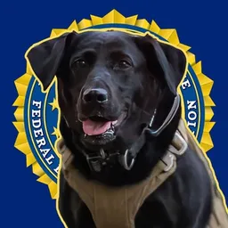 Raider The FBI Dog token logo