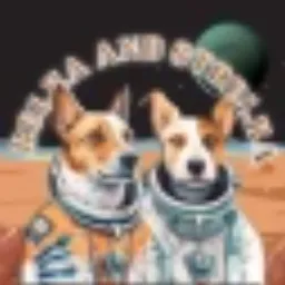 DOGNAUTS