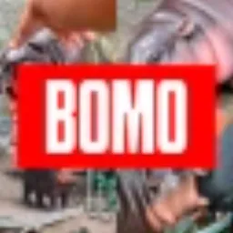 BOMO