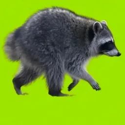 Jimothy