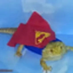 SI