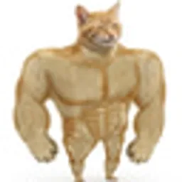SWOLECAT