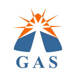 Gasvin Coin token logo