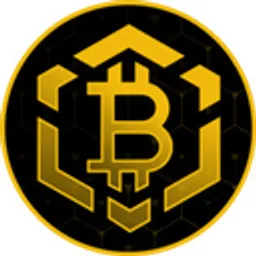 Bitcoin BSC token logo