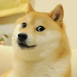 Kabosu