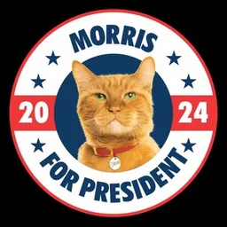 Morris For President token logo