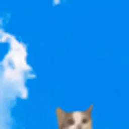 HAPPYCAT