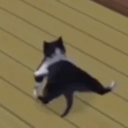 breakdancing sims cat token logo