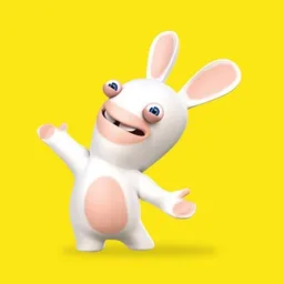 RABBIDS