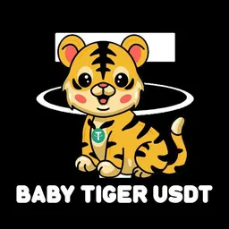 Baby Tiger USDT token logo