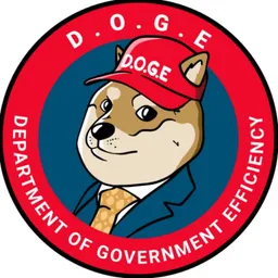 Department Of Government Ef... token logo