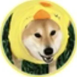 DOGES