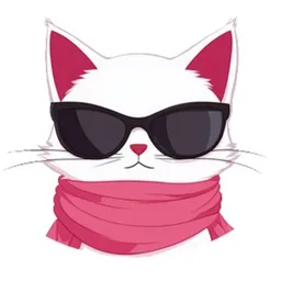 SNAT