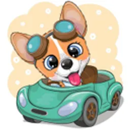 DogeCar