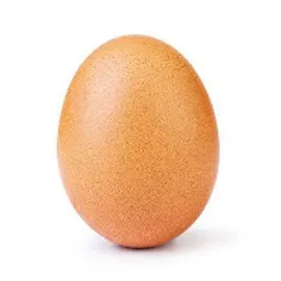 EGG