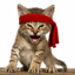 RAMBO