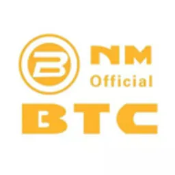 NMBTC Token token logo