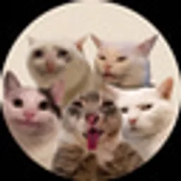 CashCatsLLC