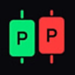 PumpPerps logo