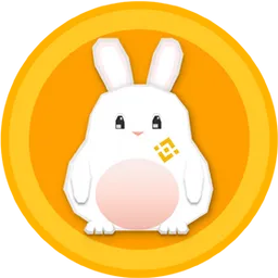 BNB Rabbit Inu token logo