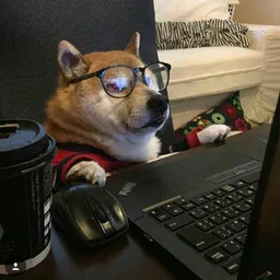 inuvestor
