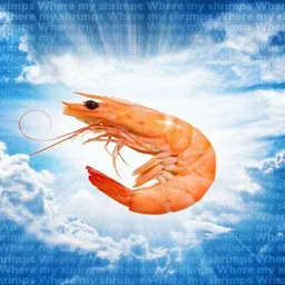 SHRIMP token logo