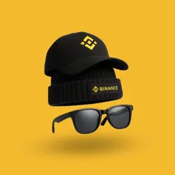 Binance Hat logo