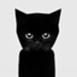 bro the cat logo