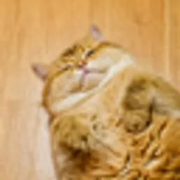 HOSICO