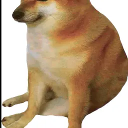 CHEEMS