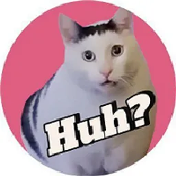 huhcat token logo