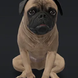 Mudpug token logo