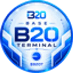 B20T
