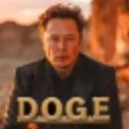 Head of D.O.G.E token logo