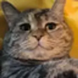 光噹
