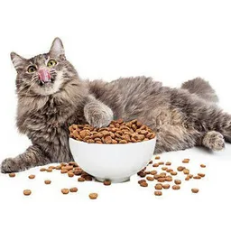 Cat Food token logo