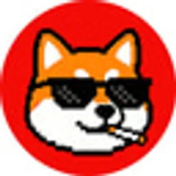 BGDHF Token logo
