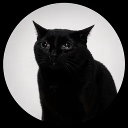 $black
