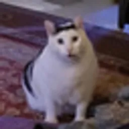 HUH