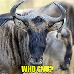 GNU