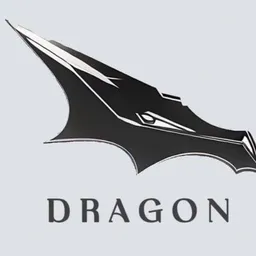 Dragon token logo