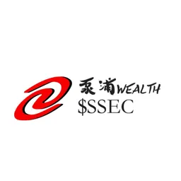 Chinese Stock Market token logo