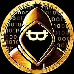 Satoshi Nakamoto token logo