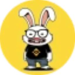 BUNNY CHANGPENG ZHAO token logo