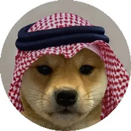 dogwifsaudihat token logo