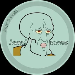 HANDSOME TOKEN token logo