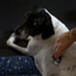 Rosie